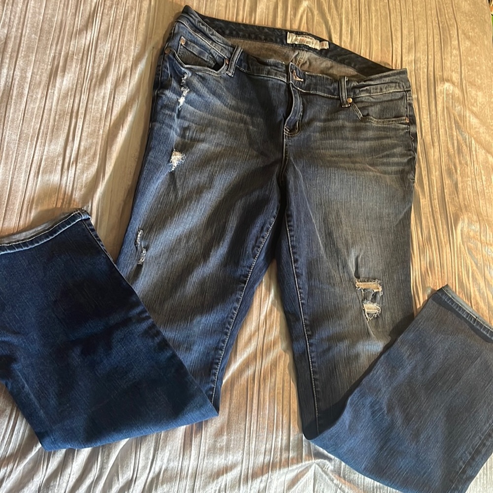 COPY - Torrid Jean